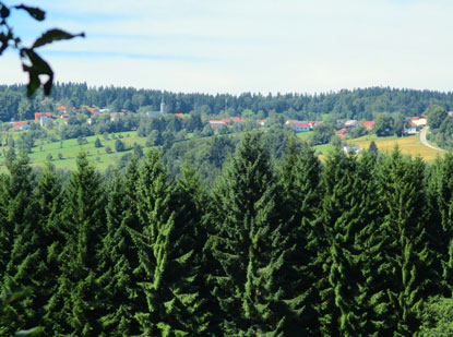 Der Wanderweg verluft entlang de rtschechisch-deutschen Grenze. Bilick auf Bischofsreut