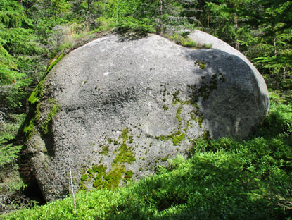 Der Pchavka Obrovsk  ((Riesenbovist )