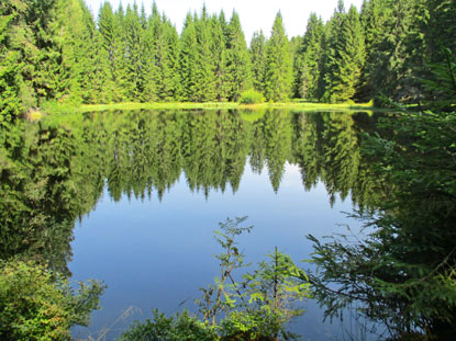 Der Jelen jezirko  (Kleine Hirschsee)