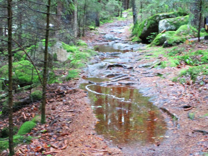 Weg entlang der Molda im Naturschtuzgebiet Certova Stena (Teufelswand)