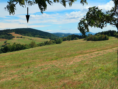 Blick auf den 684 m hohen Javornik