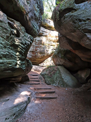 Feksebdom im Felsenlabyrith Kalich im Böhmischen Paradies