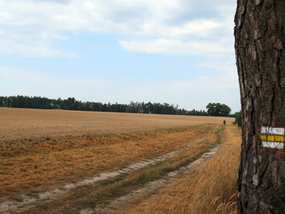 Die Region Mittelbhmens (Bhmische Pfanne) ist ber 60 % landwirtschaftlich geprgt (Getreideanbau) und berwiegend flach.  