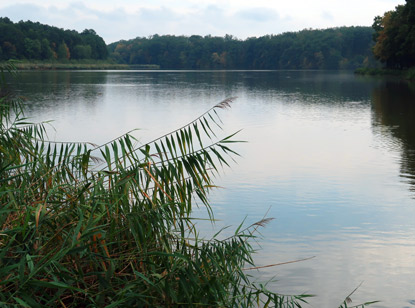 Blick von der Sonnenterrasse des Restaurants Bučicky mln auf den Teich Bučick rybnk 