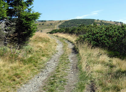 Der Kammweg auf der "Hohen Heide" (Vysoká hole) ist identisch mit dem europäischen Fernwanderweg E3
