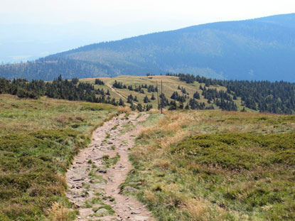 Weg zum Śnieżnik (Groer Schneeberg).