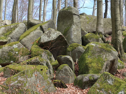 Camino Odenwald:  Felsenmeer mit dunkelgrauem Diorit