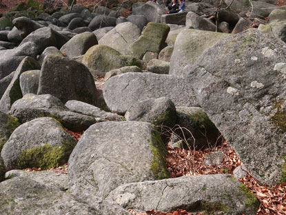 Camino Odenwald: Felsen am Felsenmeer