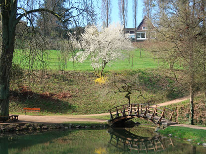 Camino Odenwald: Fischteich mit asiatischer Brcke im Frstenlager