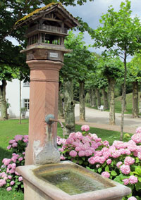 Brunnen im Frstenlager. Im Hintergrund Platanenallee