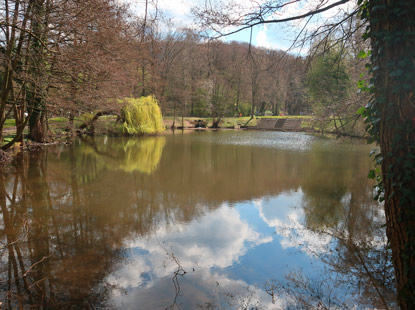 Camino incluso Odenwald: Wiesenteich in einer Parkanlage bei Frth