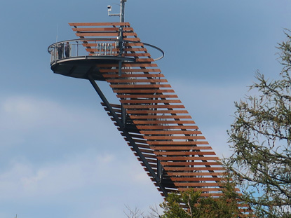 Die Himmelsleiter auf der Tromm im Odenwald