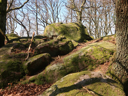 CVamino incluso Odenwald: Naturdenkmal Lindenstein