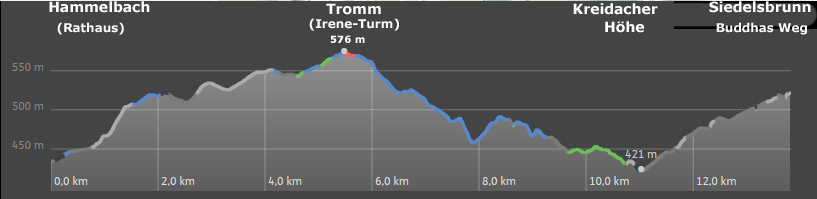 Hhenprofil des Wanderwegs Camino incluso von Hammelbach bis Siedelsbrunn