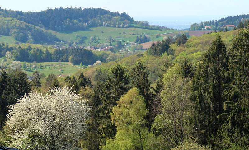 Camino incluso im Odenwald: Blick vom NfH Kohlhof in Richtung Altenbach