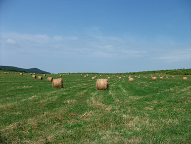 Die Region Cserht schliet sich westlich an das Mtra-Gebirge an. Geprgt wird die Landschaft durch  Hgel, Wiesen Felder und kleine Wlder.