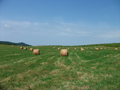 Die Region Cserht schliet sich westlich an das Mtra-Gebirge an. Geprgt wird die Landschaft durch  Hgel, Wiesen Felder und kleine Wlder.