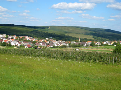 In Szendehely wird Wein angebaut. Der europische Fernwanderweg E4 wird um den Ort gefhrt.