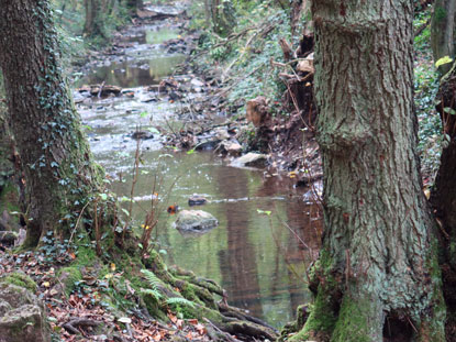 Eifelsteig Etappe 1: Fluss Inde bei Hahn