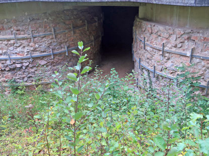 Eifelsteig Etappe 1: Rundkalkfen bei Walheim