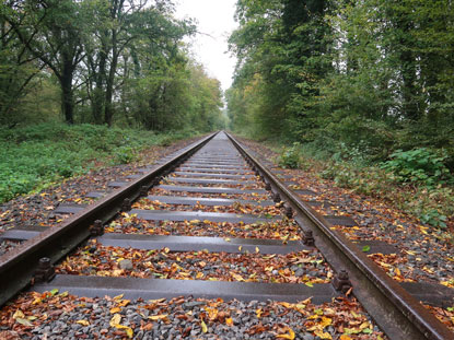 Eifelsteig Etappe 1: Trasse der Vennbahn