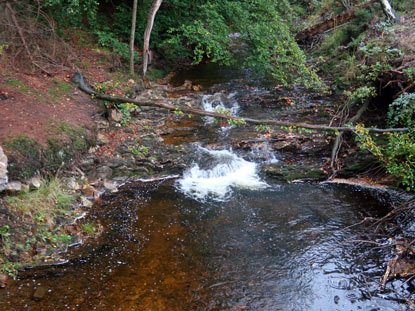 Eifelsteig Etappe 2: Brcke ber den Steinbach