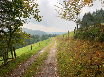 Eifelsteig Etappe 3: Weideland vor dem Ort Dedenborn