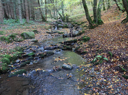 Eifelsteig Etappe 3: Der Kluckbach mndet in die Rur