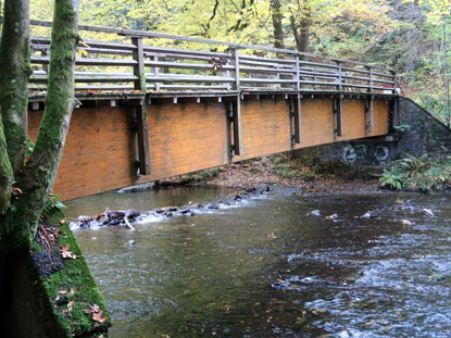 Eifelsteig Etappe 3: Brcke ber die Rur