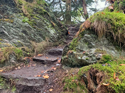 Eifelsteig Etappe 3: Abstieg auf einem Waldpfad nach Perlenau