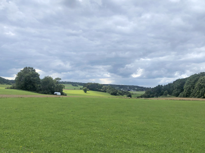 Eifelsteig Etappe Gemnd nach Steinfeld (5). Die Hochflche vor dem Ort Steinfeld