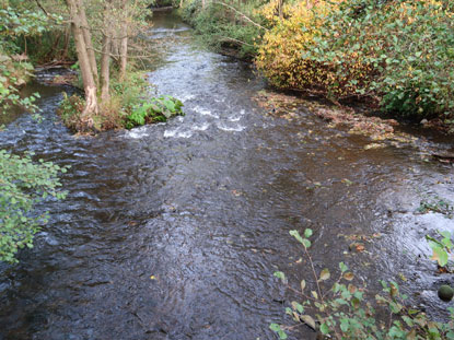 Eifelsteig Etappe 5: Fluss Olef im gleichnamigen Ort wird berquert