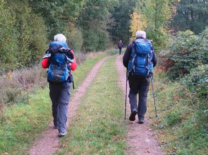 Eifelstig Etappe 5: Wanderer unterwegs zum Kuckucksley bei Olef