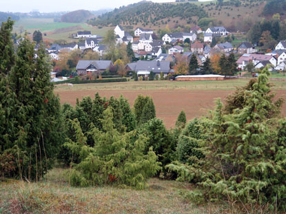 Blickcom Kalvarienberg  auf den kleinen Ort Alendorf