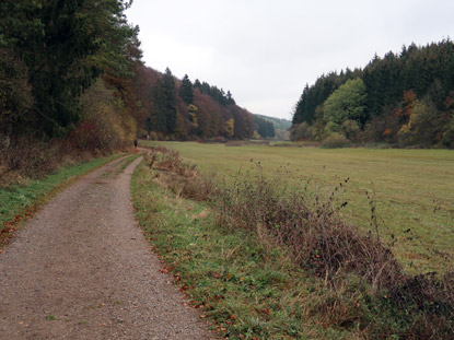 Eifelsteig: Naturschutzgebiet Lampertstal 