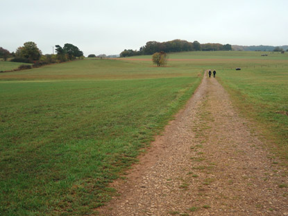 Eiflsteig zwischen Ripsdorf und Alendorf