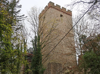 Burg Kerpen