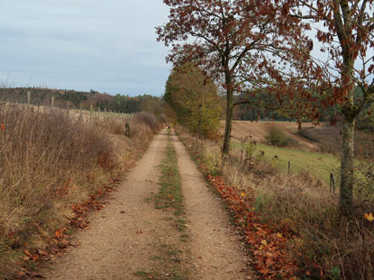 Der Panoramaweg (Eifelsteig) führt zur Burg Kerpen