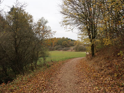 Wanderweg (Eifelsteig) durch das Bolsdorfer Tlchen