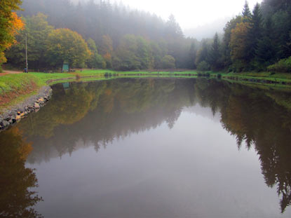 Fischteich in der Nhe von Trittscheid