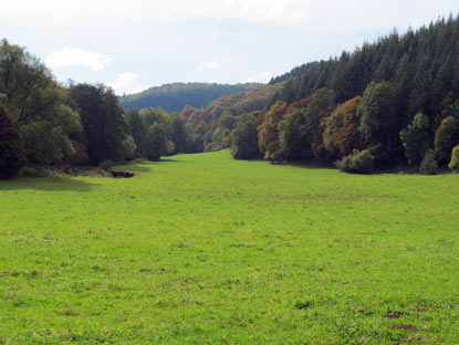 Wanderung Eifelsteig: Im Liesertal bei dersdorf