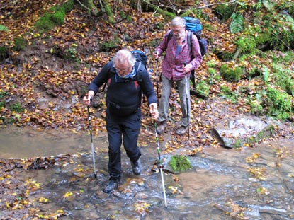 Im Ilgenbachtal sind mehrmals feuchte Stellen zu berqueren. 