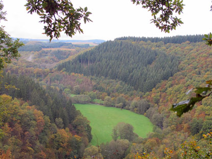 Der Eifelsteig verluft zunchst auf einem schmalen Pfad oberhalb des Flsschens Lieser