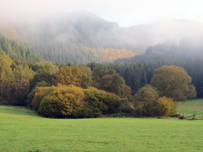 Morgennebel im Salmtal kurz vor dem Ort Bruch