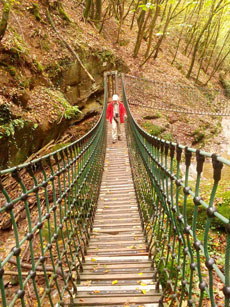 Hnebrcke im Butzerbachtal