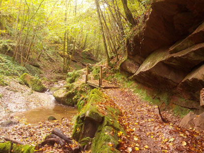 Der Eifelsteig fhrt  entlang dem Butzerbachtal mit seinen 7 Wasserfllen und seinen Hngebrcken