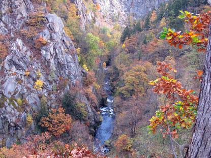 Das Bodetal  das Grand Canyon des Harzes. Die Felsen ber der Bode ragen bis zu 280 m in der Hhe.