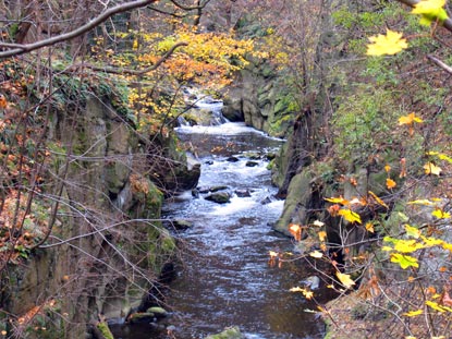 Blick von der Teufelsbrcke auf die Kalte Bode