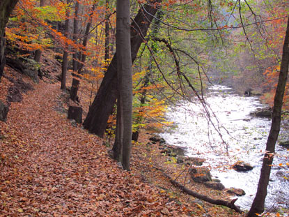 Bevor man den Ort Treseburg erreicht, wird das Bodetal  breiter