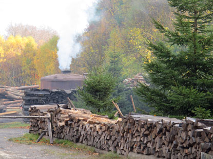 Die Khlerei am Stemberghaus stellt jedes Jahr 150 Tonnen Holzkohle her.